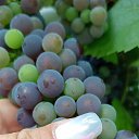 ���� ������, ������, 56 ��� - ��������� 2 ������� 2025 � ������ ���� ����������