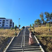 Anna, 64 ����, ����������
