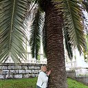 ���� ����, ���������, 62 ���� - ��������� 29 ������� 2025 � ������ ���� ����������