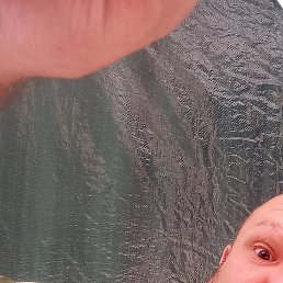 ����������, �����������, 44 ����