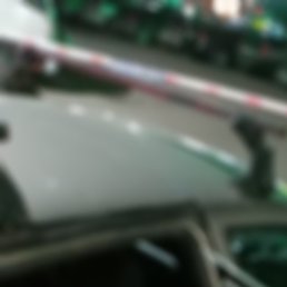 �������, ������, 41 ���