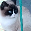 �����. �� ������� ������ ��������