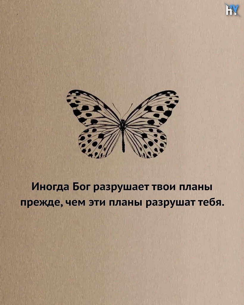 ������ �������� ����. �� ����� ��� ����� �����- ��� � ��� ��� �����. �� ����� �� �������� �����, �� ... - 2