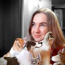 ���� �����, ���������, 51 ��� - ��������� 19 �������� 2025 � ������ ���� ����������