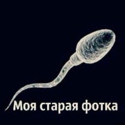 ���������, ������, 23 ����