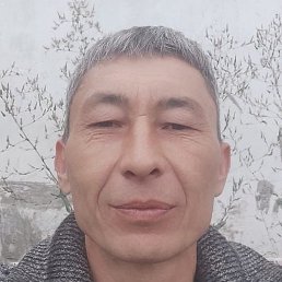 �����, ��������, 51 ���