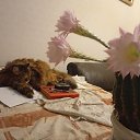 ���� ������, ������, 53 ���� - ��������� 1 ���� 2026 � ������ ������ ��������