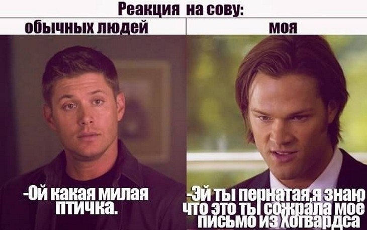 ? ,  ! - 9  2025  06:29
