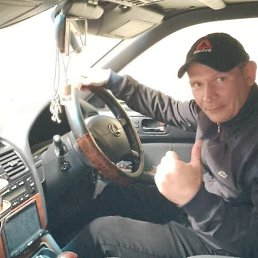 ������, ������, 41 ���