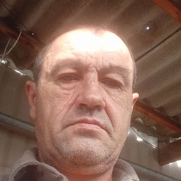 ������, ������, 52 ����