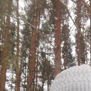 ����, 50 ���, �������