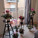 ���� ����, �����, 78 ��� - ��������� 11 ������ 2025 � ������ ��������� � �������� ������� 2024�