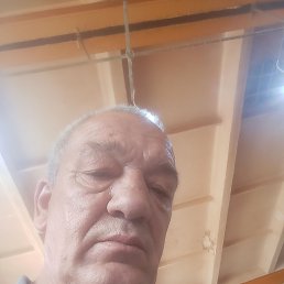 , 51, 