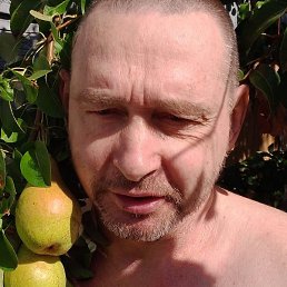 ����, ������, 56 ���