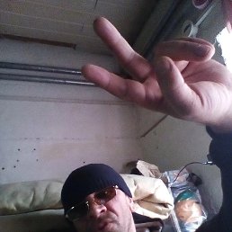 ���� �����, �����������, 44 ���� - ��������� 12 ������ 2026