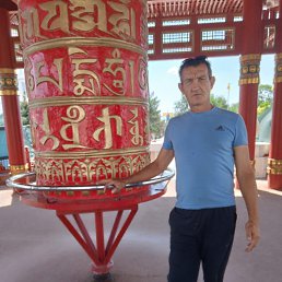  , 53, 