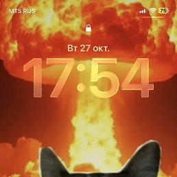 �����, ���������, 24 ����