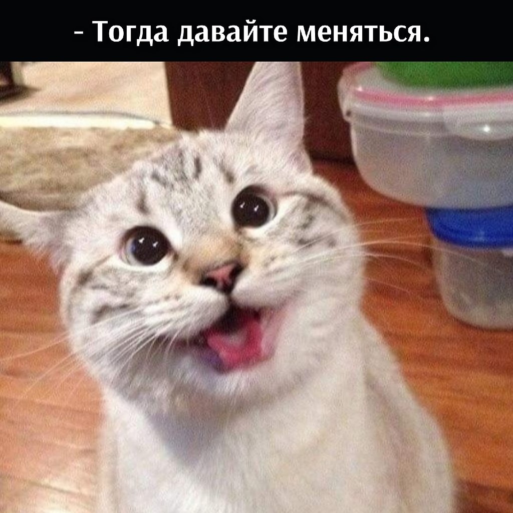 ��� ���� � ����� �� �� - 29 ������� 2025 � 16:33 - 3