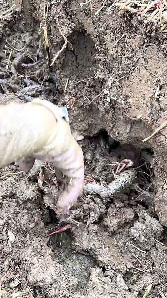 ��� ����� �������� ����������� ����� ������������ - 2