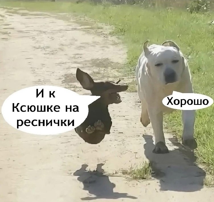   - 6  2025  14:09 - 4