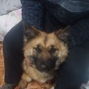 ���� ����, ���������, 59 ��� - ��������� 27 ������ 2026