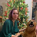 ���� ���, ������, 45 ��� - ��������� 28 ����� 2026