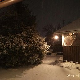 ���� �������� �������, �����-���������, 62 ���� - ��������� 1 ������ 2024