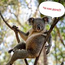 ���� �����, ������, 46 ��� - ��������� 15 �������� 2024