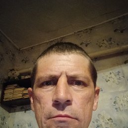 , 41 , 