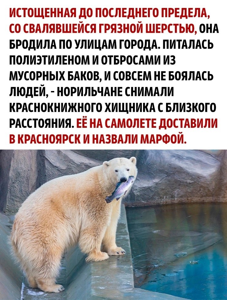     - 2