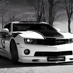 ���� ����, ������, 20 ��� - ��������� 5 �������� 2025