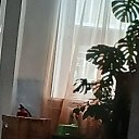���� �������, �������, 56 ��� - ��������� 16 ������ 2026