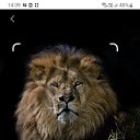 ���� �����, �����, 40 ��� - ��������� 13 ���� 2024 � ������ ���� ����������