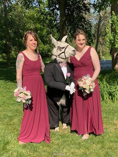  a.  o ap  po aepa a  oa aa  co aa aa, o c  aa ... - 2