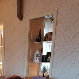 �������, ���������, 42 ����