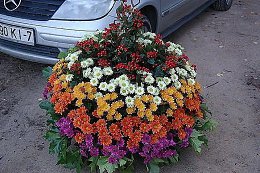 �����������