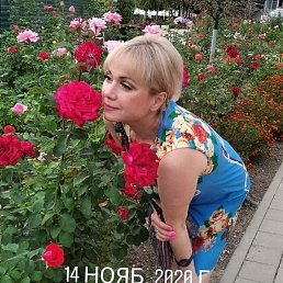 �����, ������, 48 ���