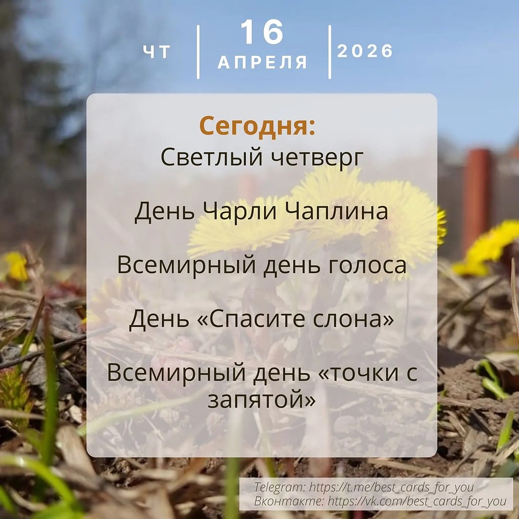 ����������� � ���������, �������� �� ������ ����. - 16 ������ 2026 � 00:28