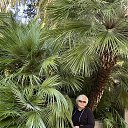 ���� ������, �������, 60 ��� - ��������� 3 ������ 2024 � ������ ���� ����������