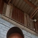 ���� �����, ������������, 36 ��� - ��������� 8 ���� 2025 � ������ ���� ����������