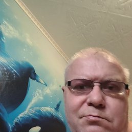 ����, 49 ���, ������������
