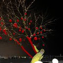 ���� ������, ���������, 63 ���� - ��������� 3 ������ 2024 � ������ ���� ����������