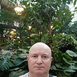 , 48, 