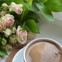���� Venus, ������ - ��������� 26 ����� 2026 � ������ ������ ��������