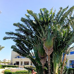 ��������, ������, 38 ���