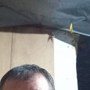 ���� ����, ���������, 47 ��� - ��������� 18 ����� 2025 � ������ ���� ����������