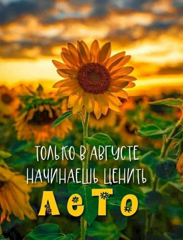 ПРИВЕТСТВИЯ и ПОЖЕЛАНИЯ, открытки на каждый день. - 4 августа 2025 в 17:16