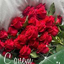 ���� ��������� ������������, ����-���, 62 ���� - ��������� 29 �������� 2025