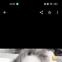 ������, �����������, 49 ���