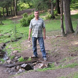 ����, �������